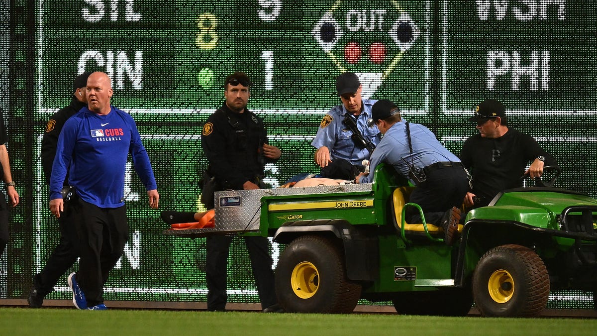 Fan at Pirates-Cubs game falls out of stands onto field: What we know