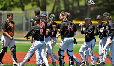 Red Lion, Northeastern baseball advance in district playoffs: YAIAA roundup