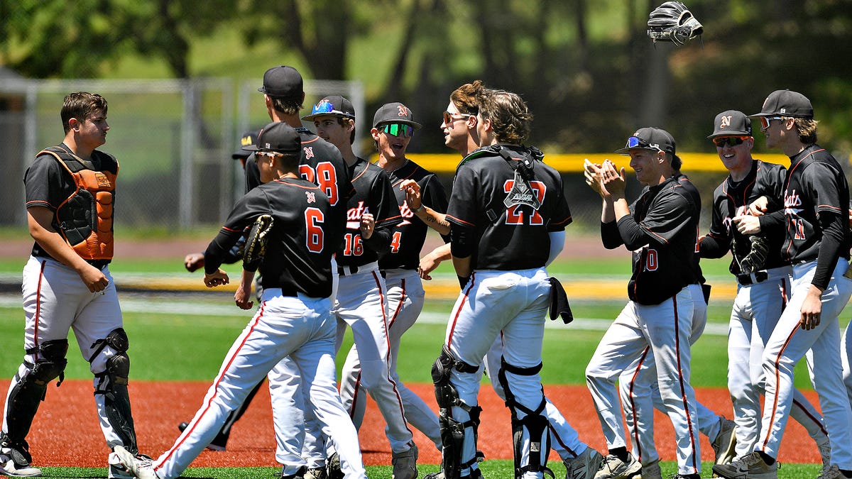 Red Lion, Northeastern baseball advance in district playoffs: YAIAA roundup
