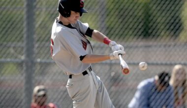 IHSA 2025 baseball playoff schedule, results for Springfield area