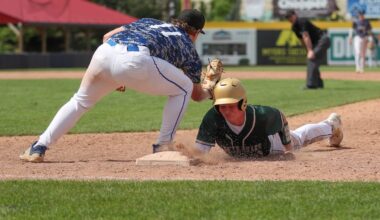 NYSPHSAA Section 4 baseball 2025 playoffs
