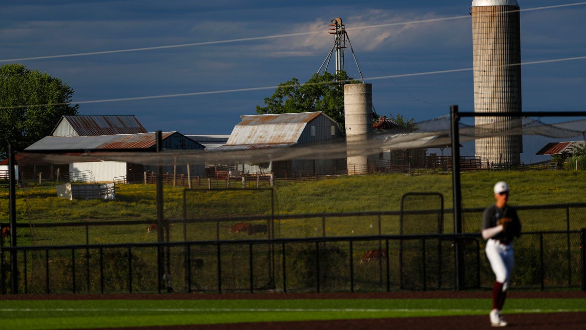 Missouri high school baseball playoffs: Top Class 1-4 performers