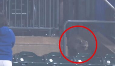 SNY cameras captured a raccoon roaming Citi Field during a New York Mets game Wednesday