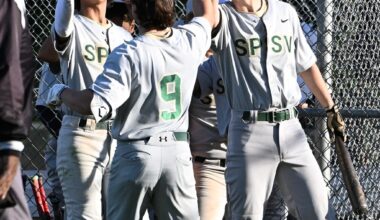 Local softball, baseball teams begin postseason this week – Times Herald Online