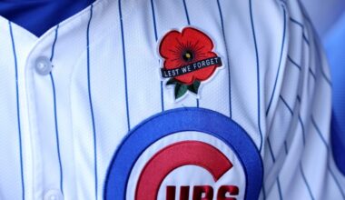 Chicago Cubs defeat the Colorado Rockies 3-1 at Wrigley Field on Memorial Day – Chicago Tribune