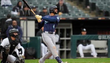 Longing for entertainment at a Chicago White Sox game