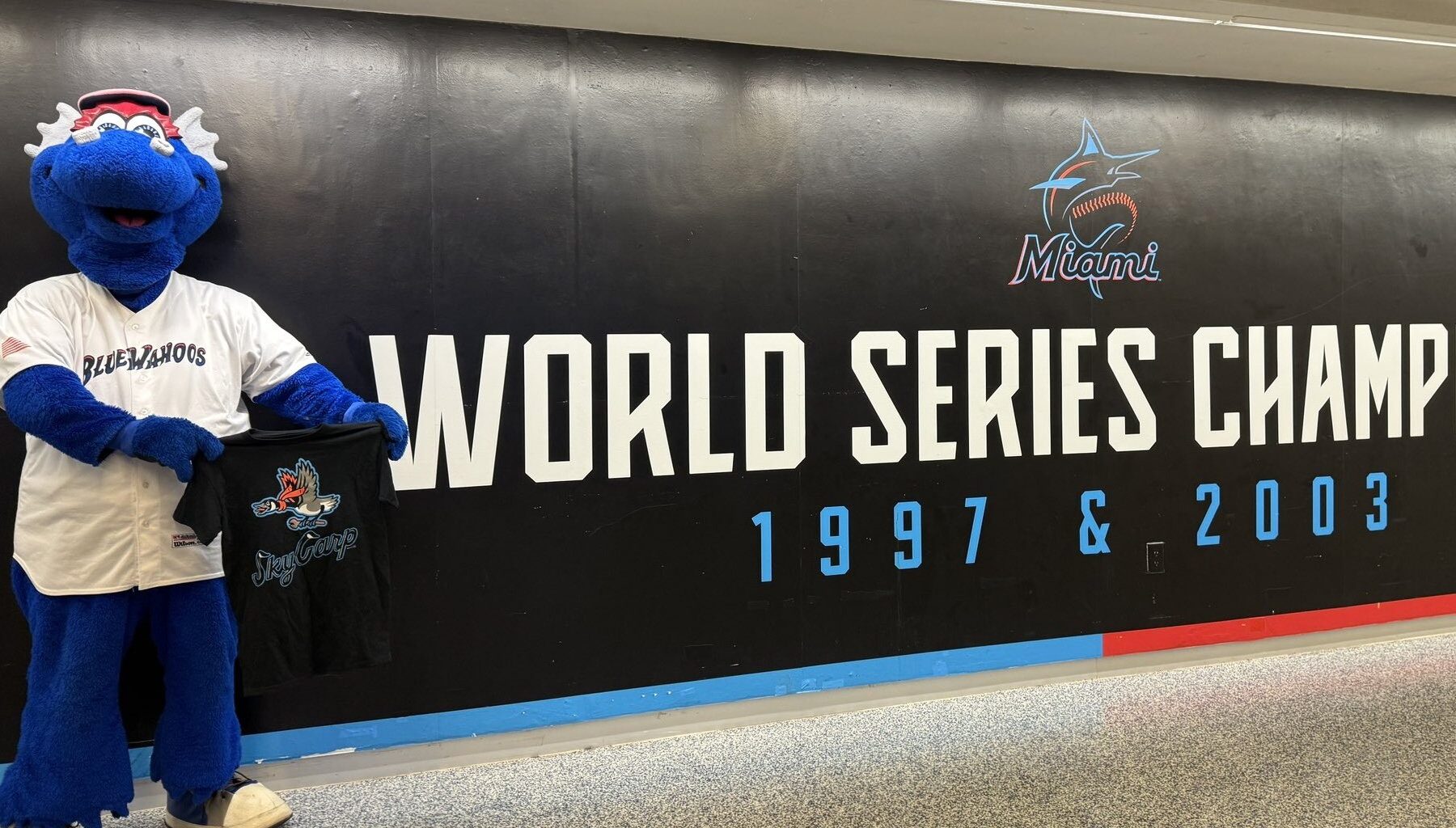 The ultimate guide to the Miami Marlins minor league team affiliates - Miami Marlins Guides & Resources