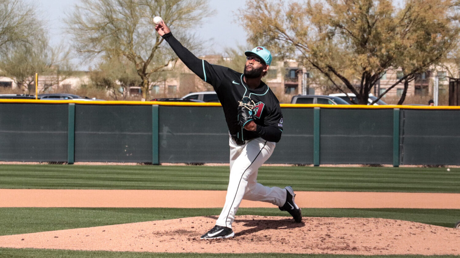 Diamondbacks pitcher Christian Montes De Oca...