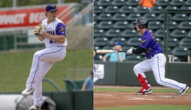 Twins Daily Minor League Report (5/11): - Minor Leagues