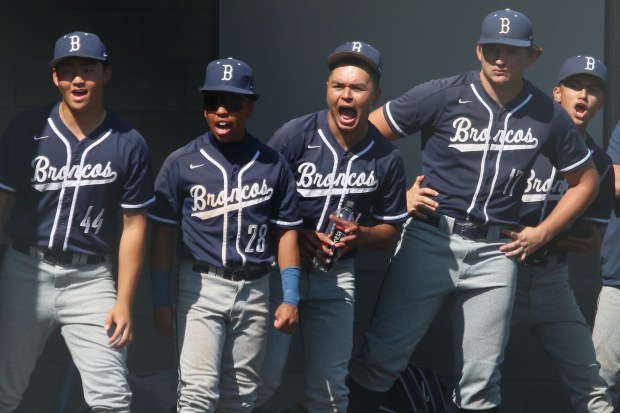 Vista Murrieta players cheer in the early going against St....