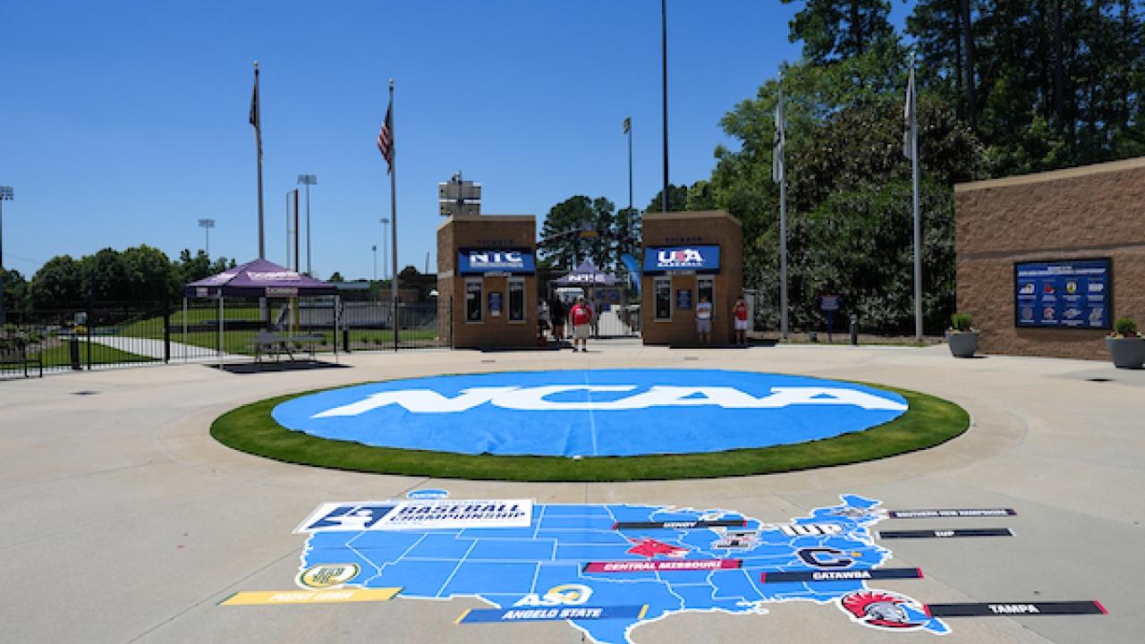 A region-by-region look at the 2025 DII baseball championship