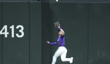 Arizona Diamondbacks center fielder Tim Tawa...