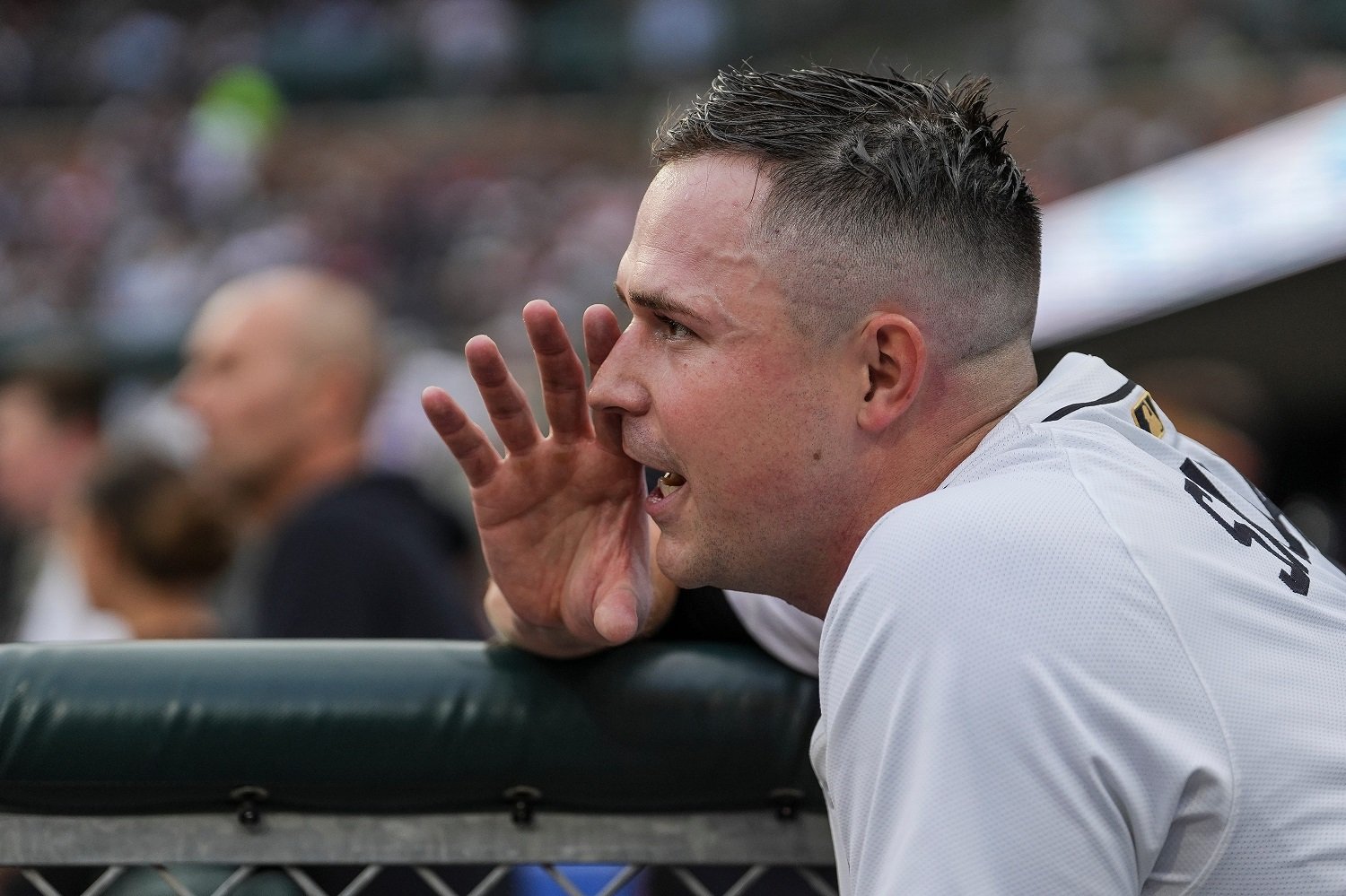 The Detroit Tigers Are For Real, and the Twins Should Take Notice - Twins