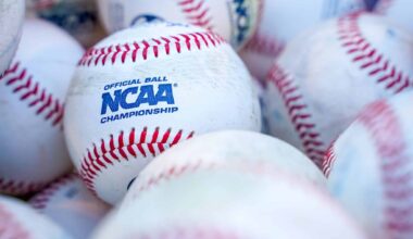 A pile of baseballs.