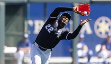 White Sox Quietly Move On From Once-Hyped Prospect