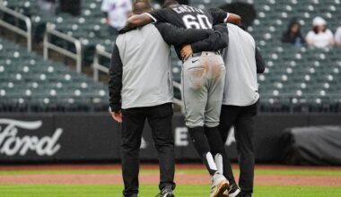 White Sox Reliever Miguel Castro Out for Season After Knee Injury