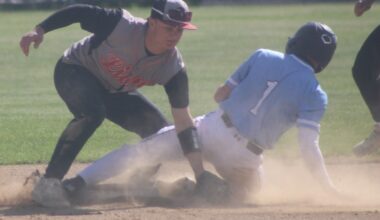 Miscues cost Lions in baseball playoffs – Wyoming County Examiner