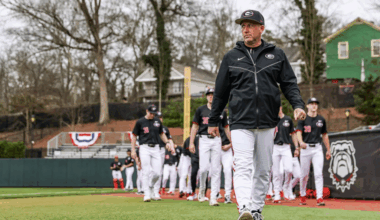 Wes Johnson Georgia Bulldogs