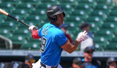 Marlins Minor League Report: Andrés Valor settling in; Robby Snelling shoves - Fish on the Farm