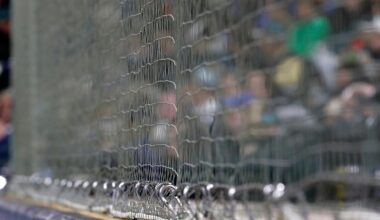 After a fan's terrifying fall in Pittsburgh, a look at safety measures across MLB