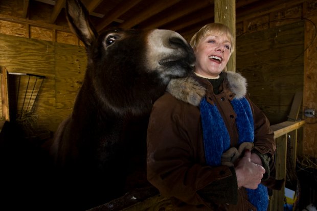 Nancy Faust, organist for the White Sox, at her rural Mundelein home with her donkey, Mandy, Jan. 16, 2009. (Bonnie Trafelet/Chicago Tribune)