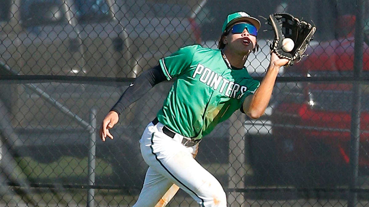 Fort Smith area teams step to plate in Arkansas baseball tournaments