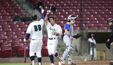 Twins Minor League Week in Review (4/29-5/5): April Showers Bring May Power - Minor Leagues