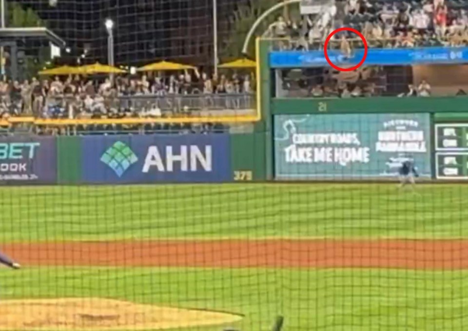 Fan falling over right field wall at a Pittsburgh Pirates game.