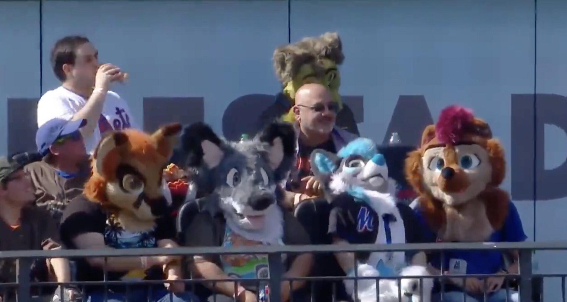 Gary Cohen, Ron Darling unsure what to do with furries at Mets game