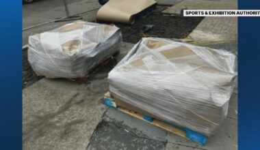 Investigation finds Pirates promised to take care of Bucco Bricks, but instead threw them out – WPXI