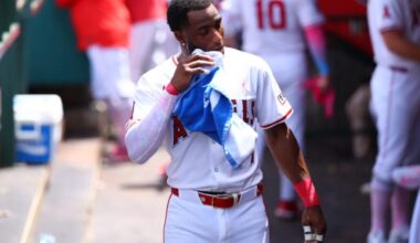 Angels DFA former All-Star Tim Anderson after woeful start