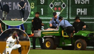 Fan at Pirates game falls 21 feet onto playing field in scary scene