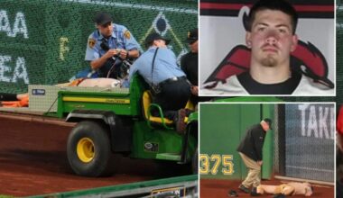 Man charged for allegedly giving alcohol to Pirates fan before fall from stands