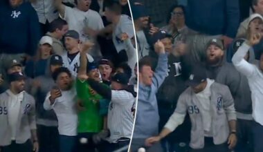 Yankees fan secretly swipes Aaron Judge home run away