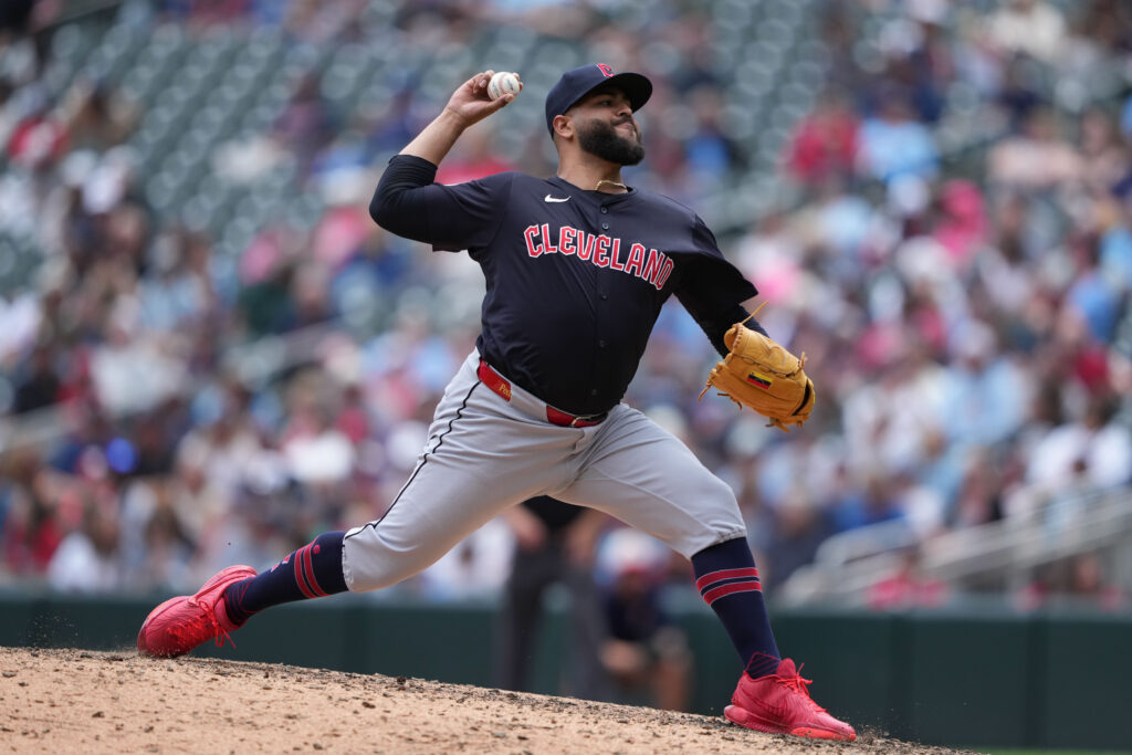 NPB's Tokyo Yakult Swallows Sign Pedro Avila