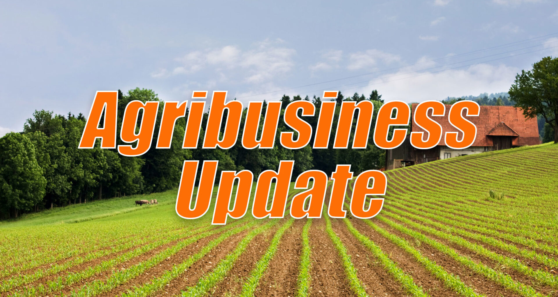 NPB Launches "Somethings Missing" and New Tariff on Mexican Tomatoes