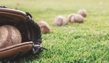 Friday's high school baseball and softball scores