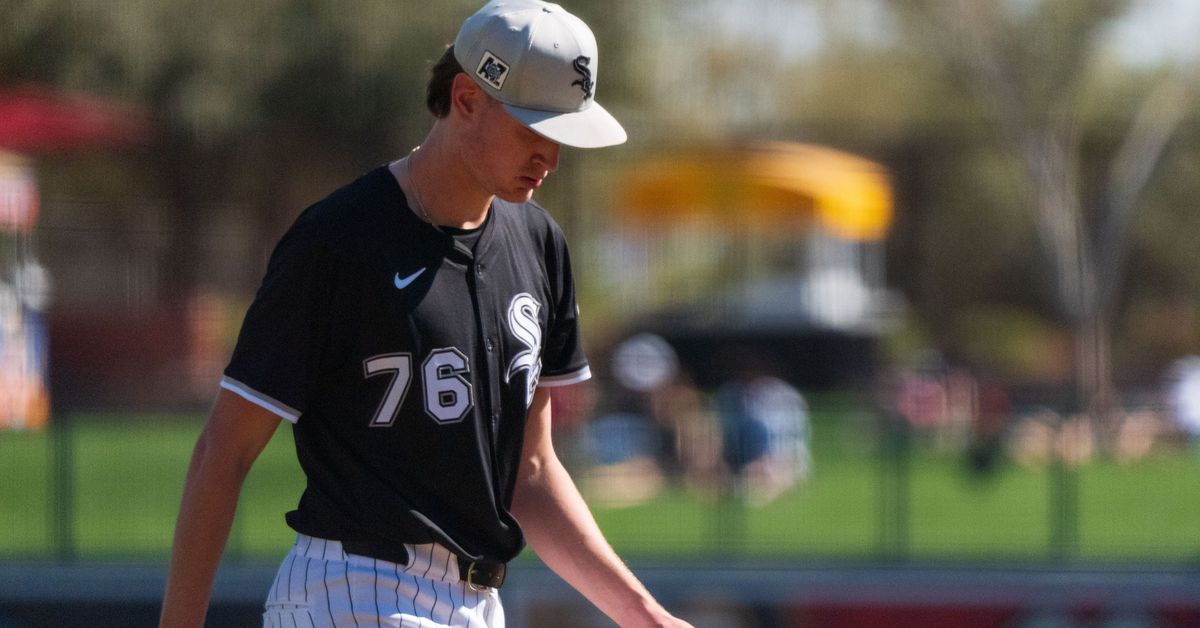 Chicago White Sox Minor League Update: May 18, 2025