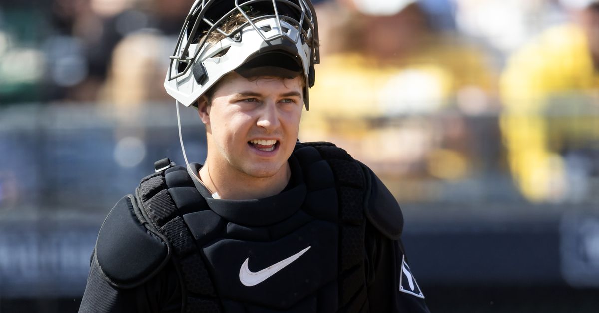 Chicago White Sox Minor League Update: May 22, 2025