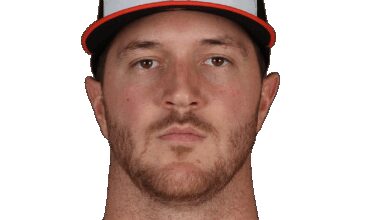 Orioles minor league recap 5/17: A night of strong pitching on the farm