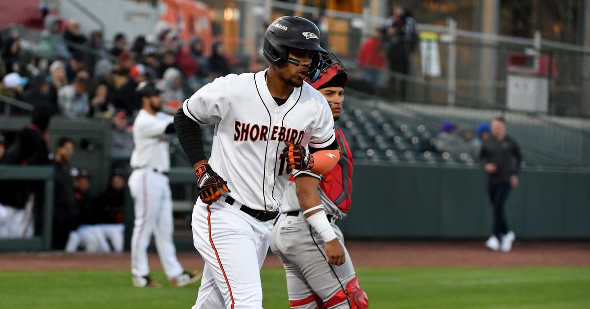 Orioles Low-A affiliate has huge offensive day in rain-soaked win