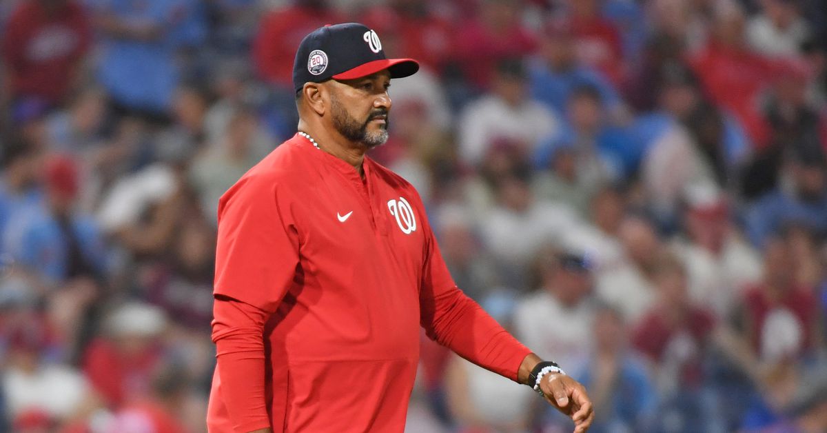 Nationals fans want to see more fire from manager Davey Martinez
