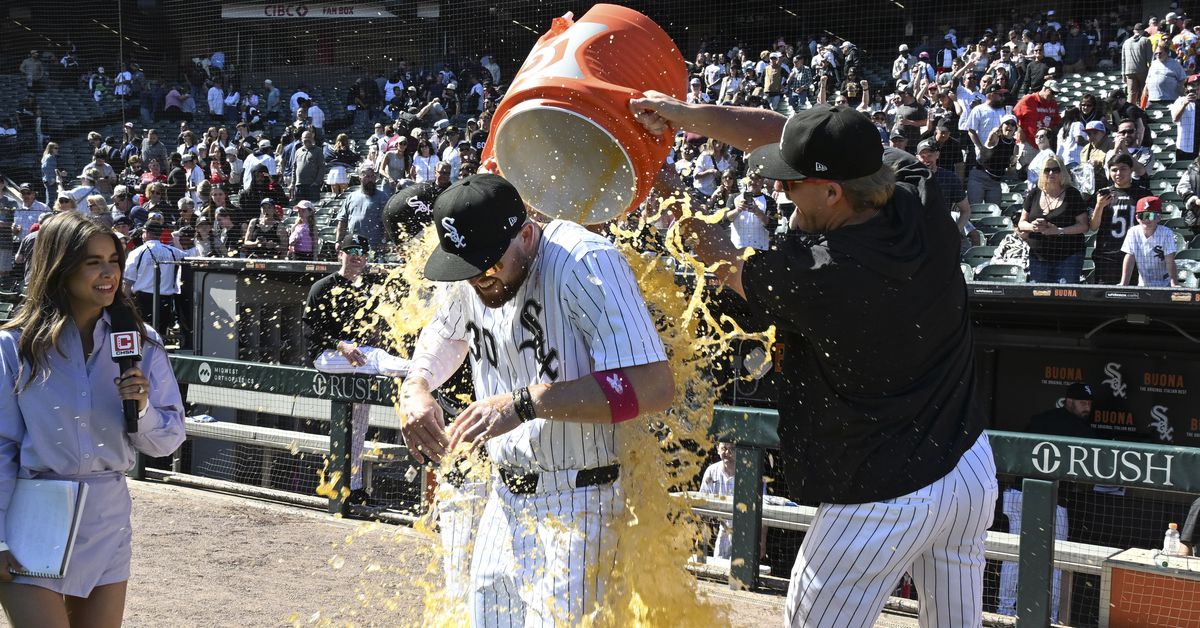 Chicago White Sox Scores & Standings: White Sox 4, Marlins 2: Welcome to The Show, Elko