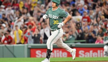 What kind of Red Sox fan are you?