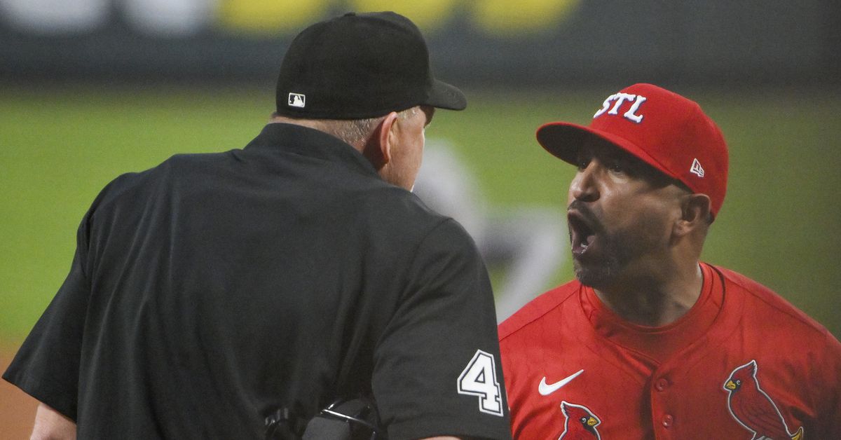 The Cardinals Defend Home Turf Vs The Rattlesnakes