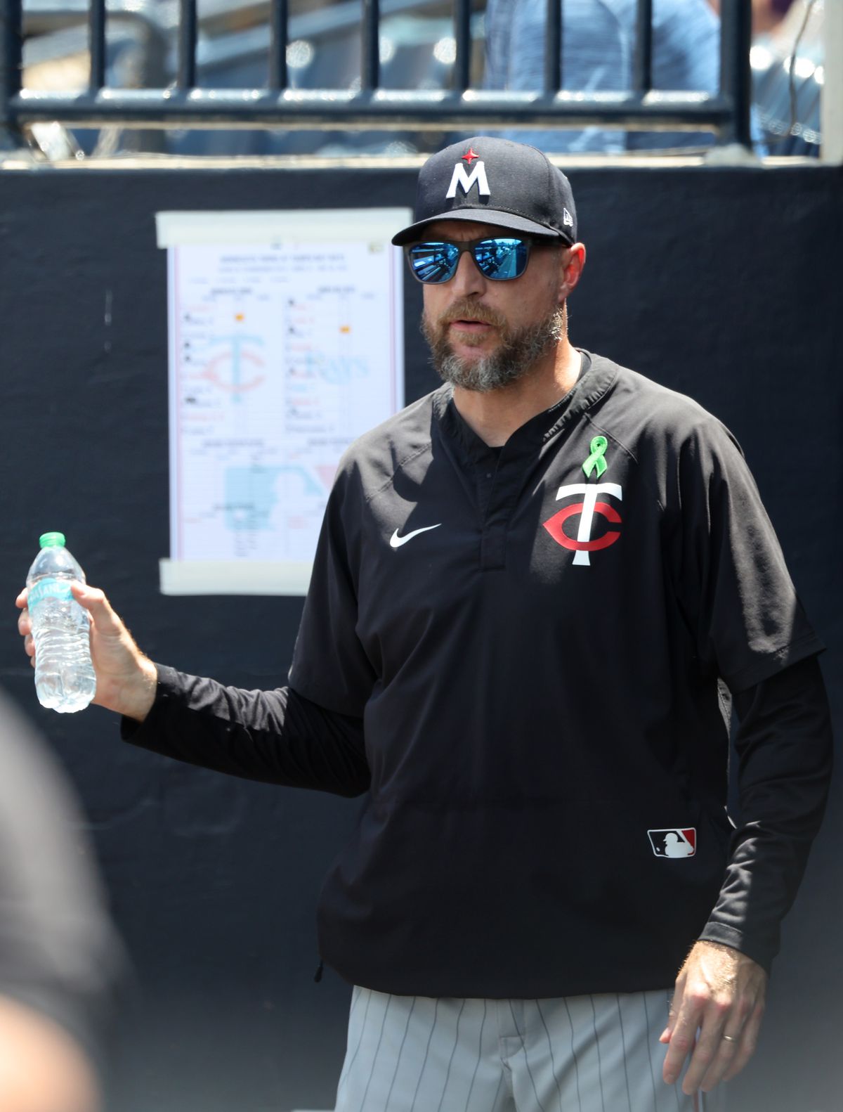 MLB: Minnesota Twins at Tampa Bay Rays