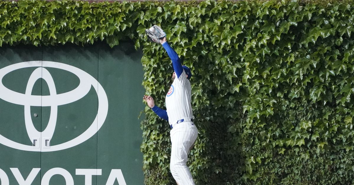 Cub Tracks’ who are these guys?
