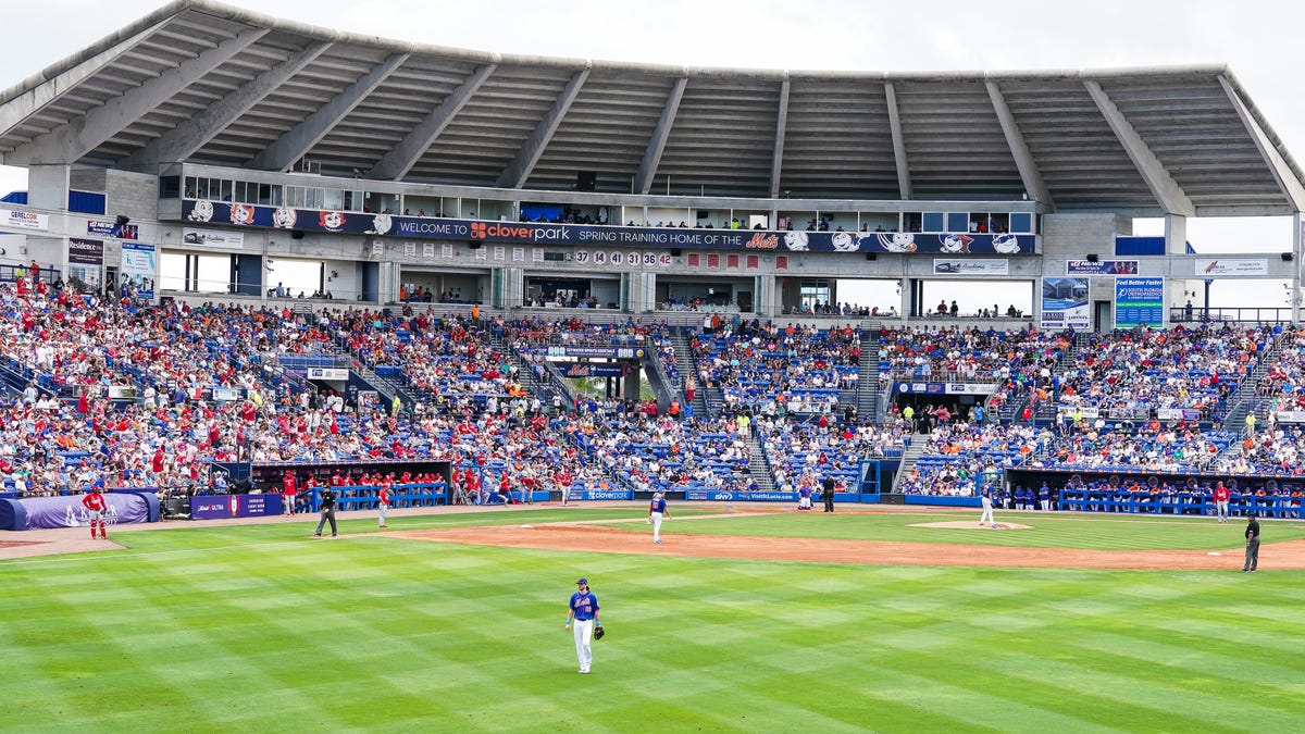 Watchdog reporter loves watching the Mets at Clover Park in PSL