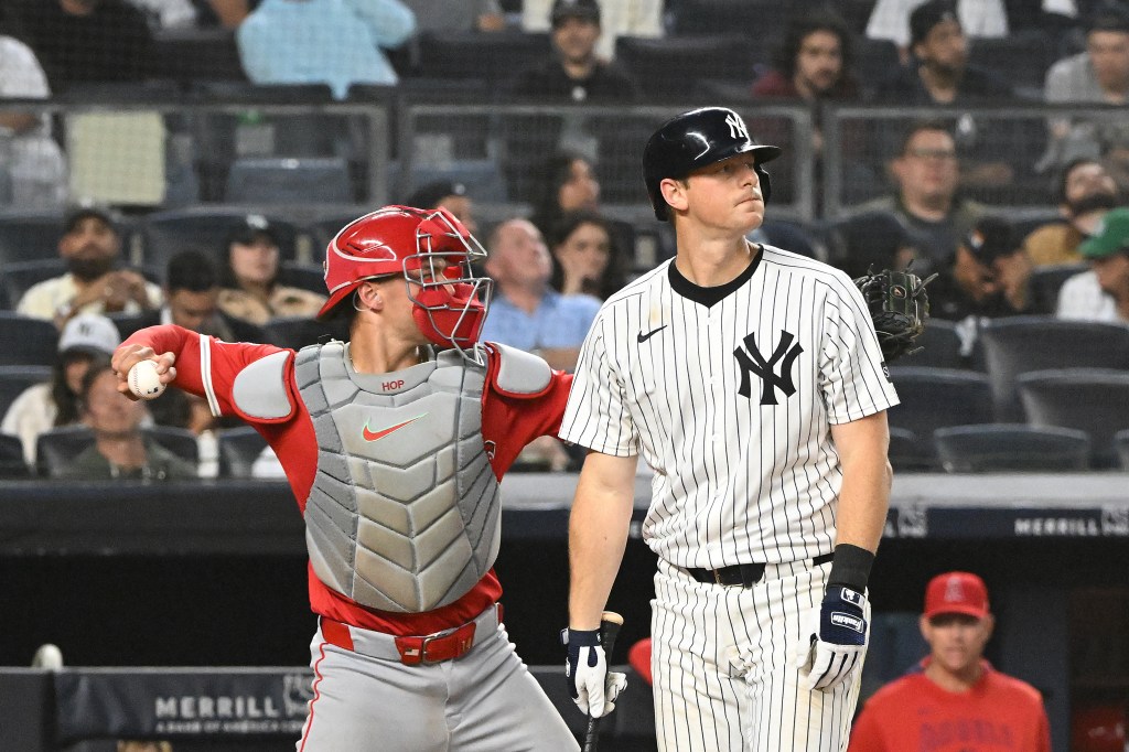 Yankees second base DJ LeMahieu (26) reacts after he strikes out looking during the 5th inning of the Yankees and Los Angeles Angels game at Yankee Stadium. 