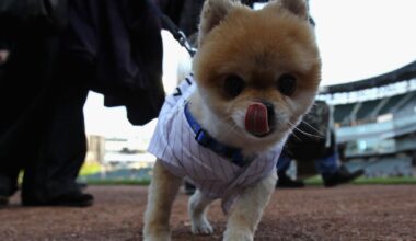 Today in Chicago White Sox History: June 7